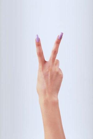 フコイダンの効果と安全性を徹底解説！2025年最新の健康サポートガイド